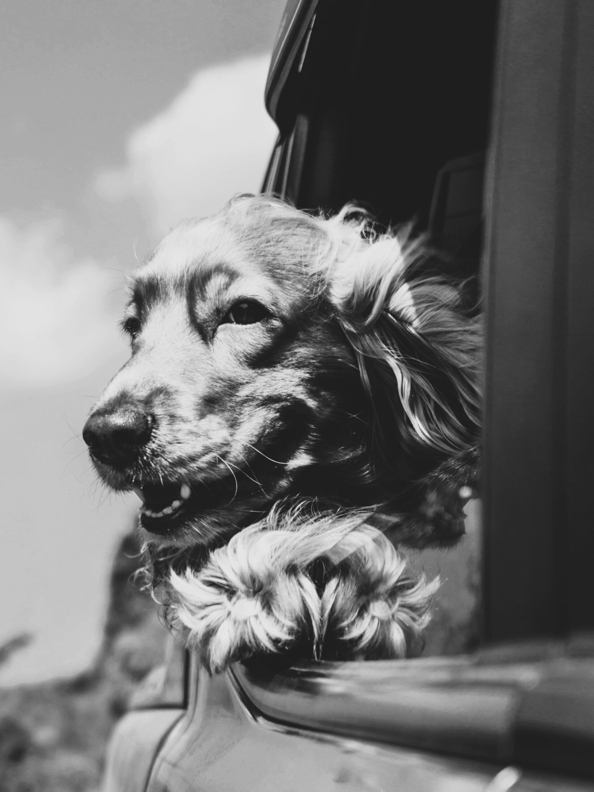 AMP is WAC — 6/13/25