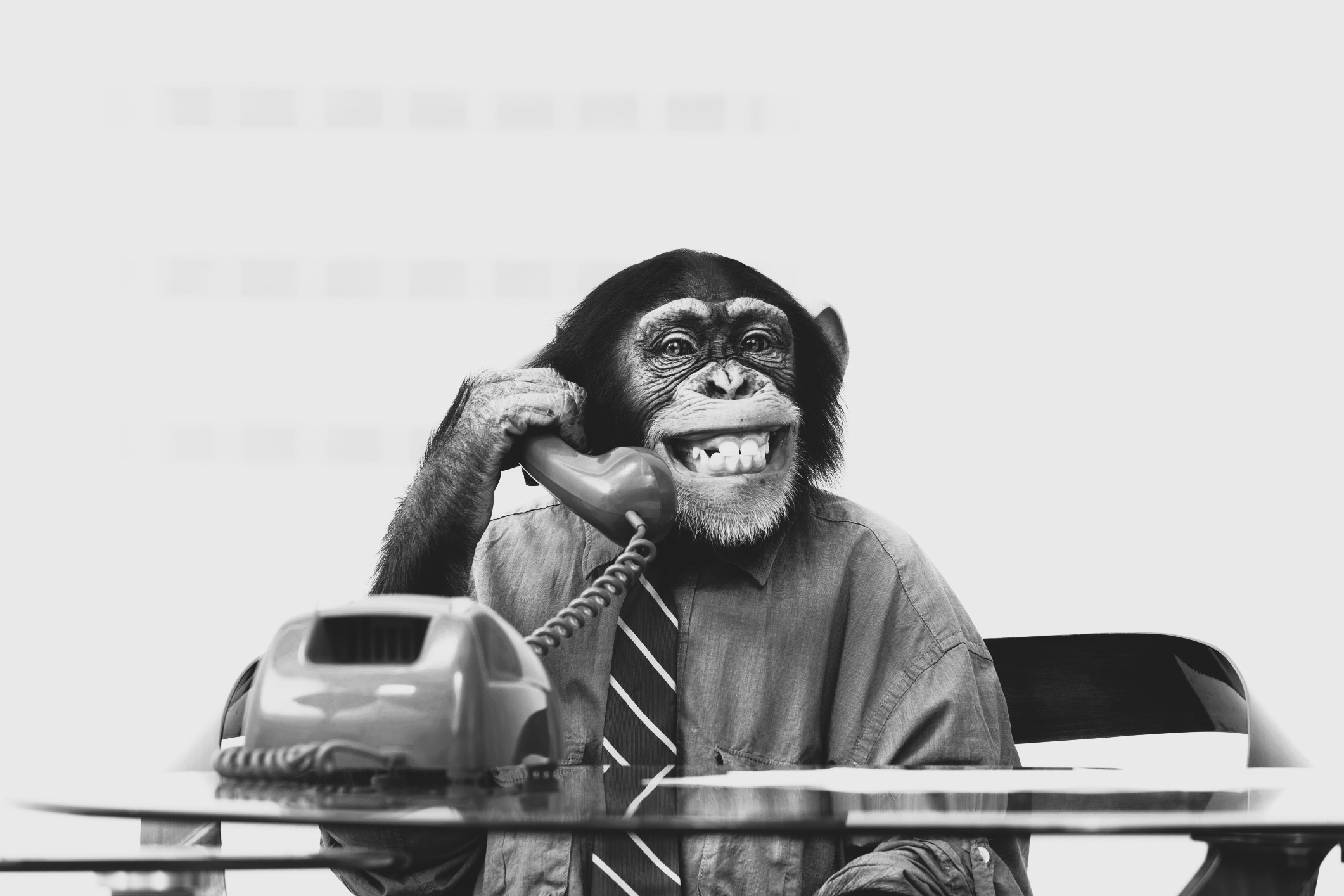 AMP is WAC — 08/01/25