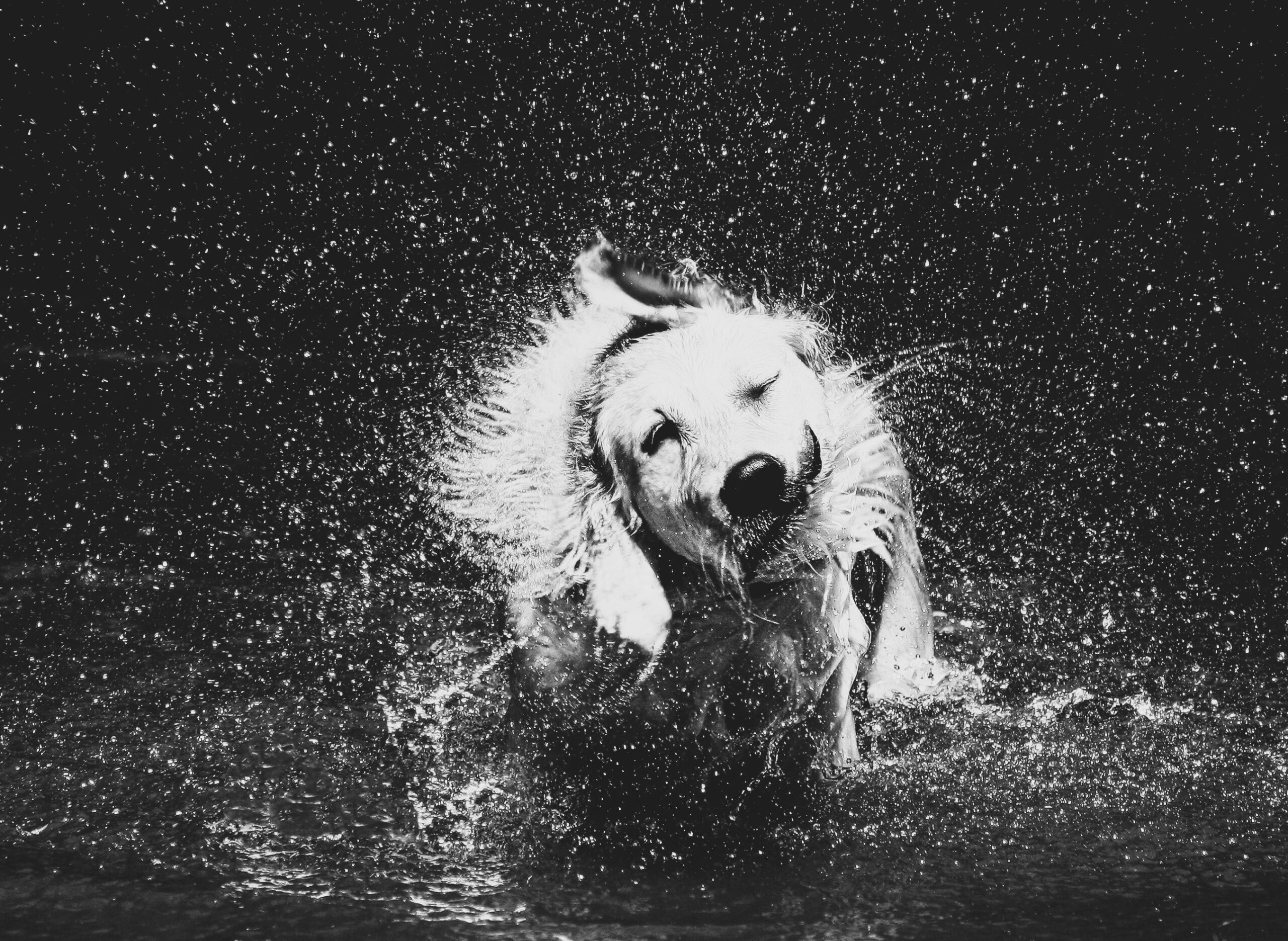 AMP is WAC — 7/10/25