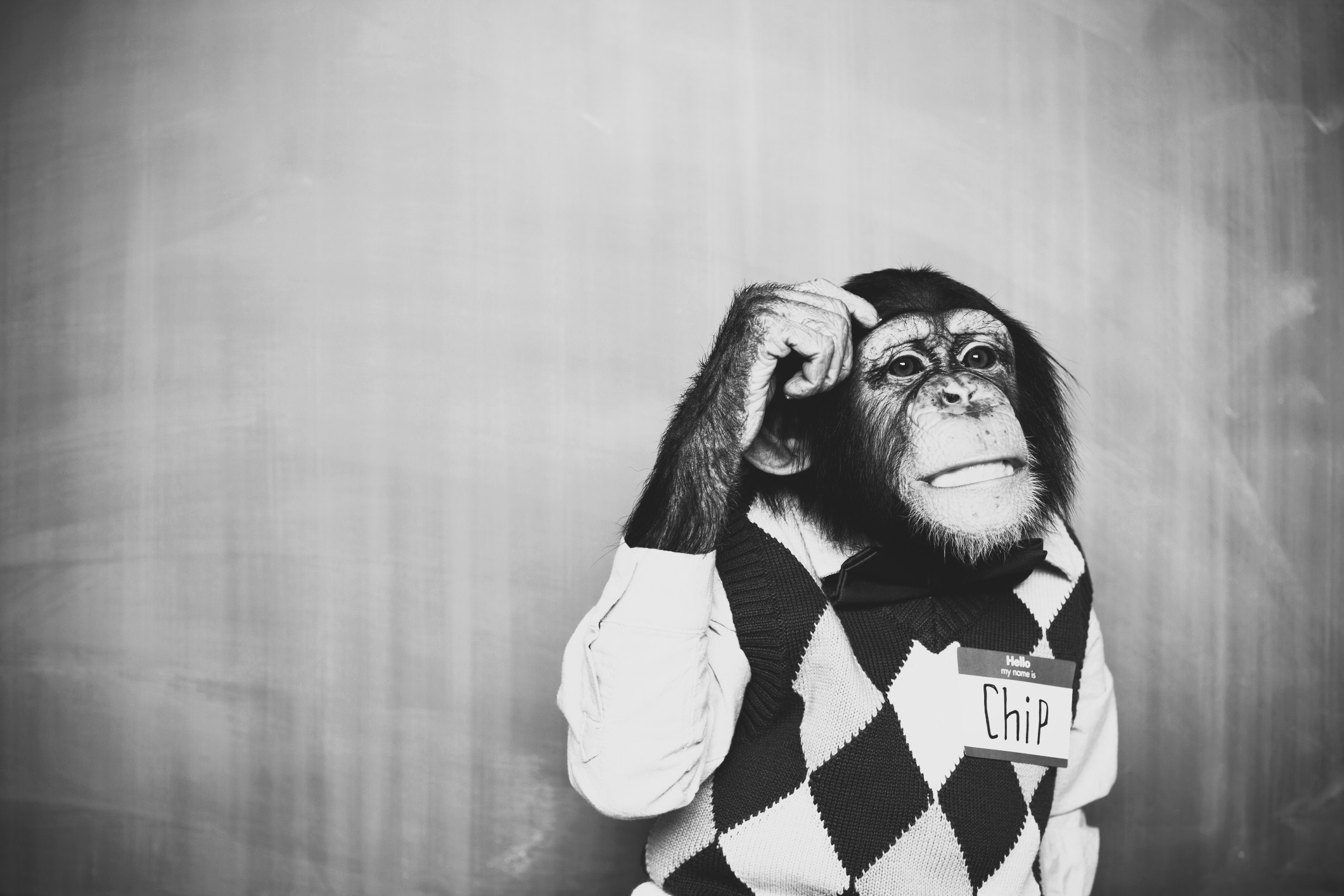 AMP is WAC — 9/12/25