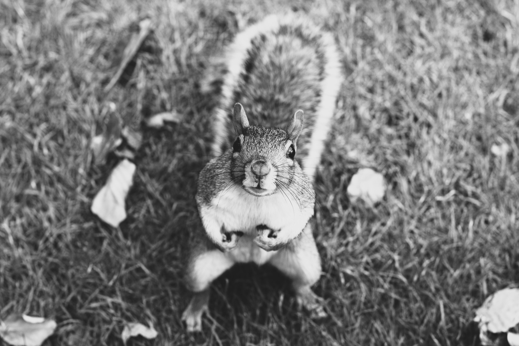 AMP is WAC — 9/19/25