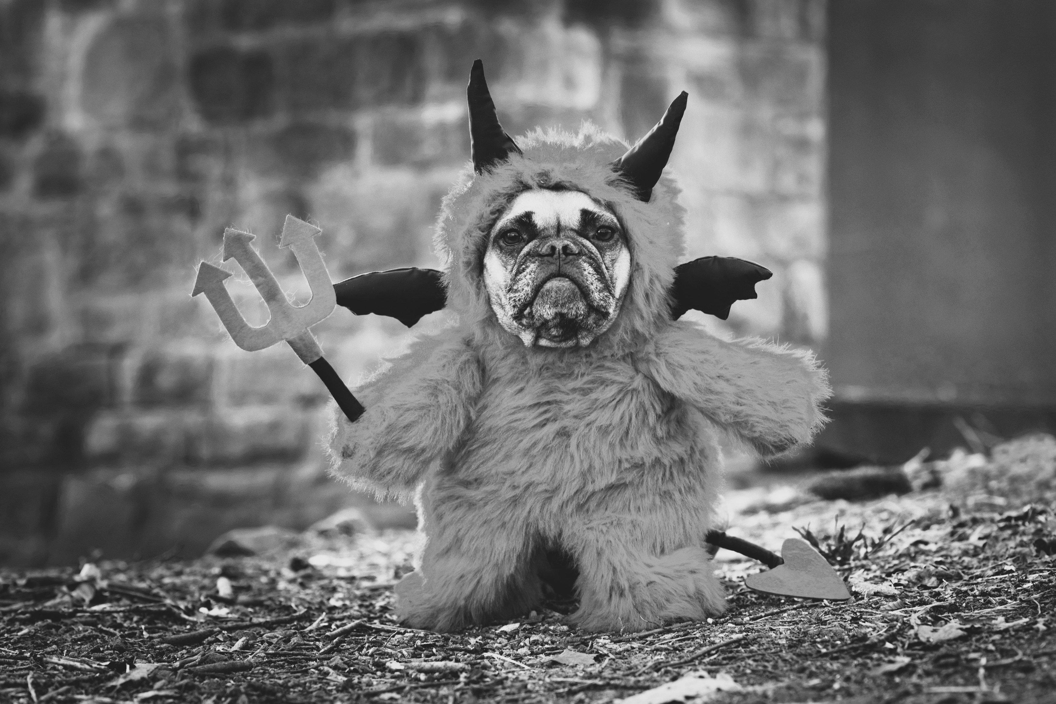 AMP is WAC — 10/31/25