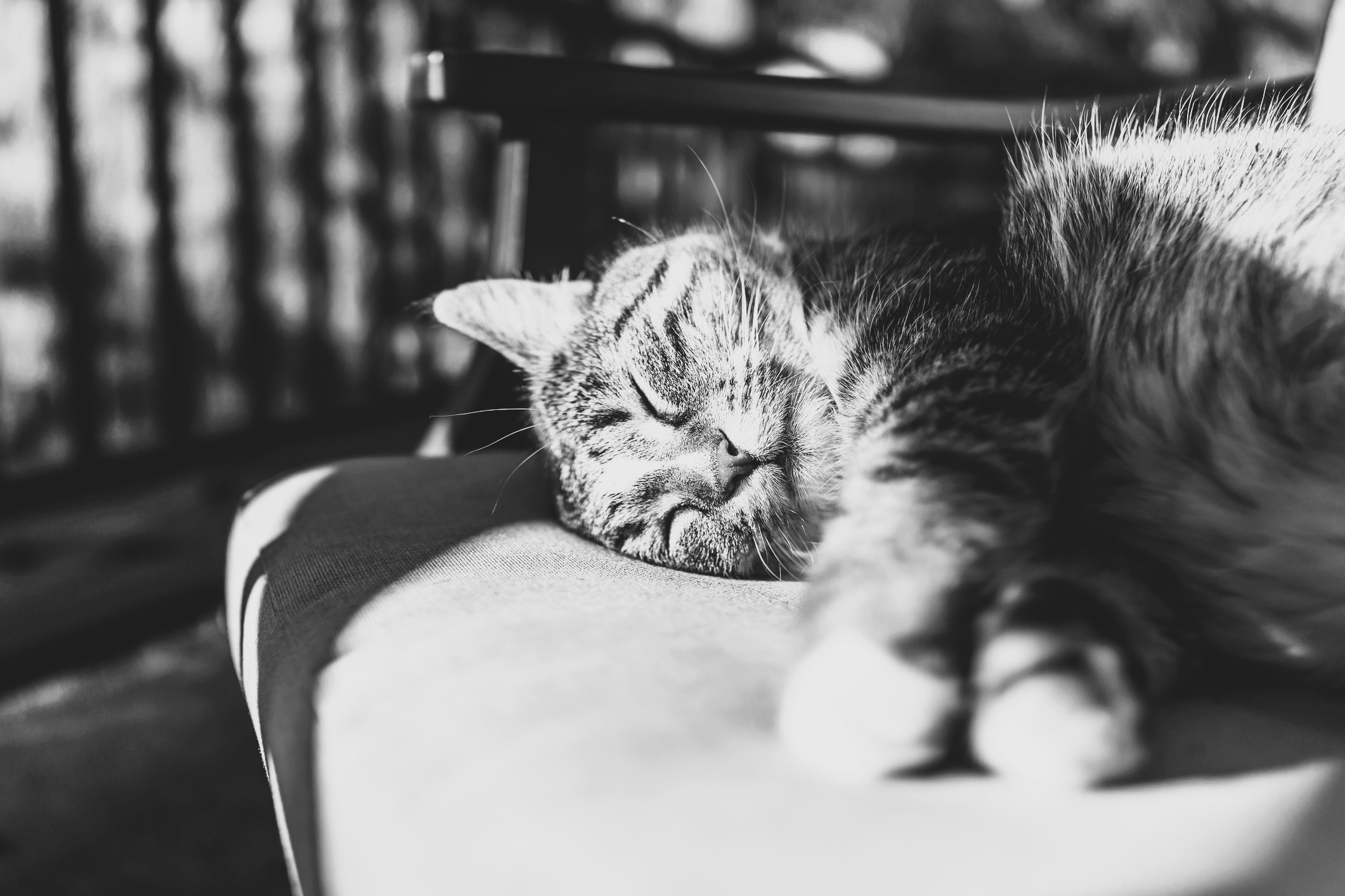 AMP is WAC — 11/7/25