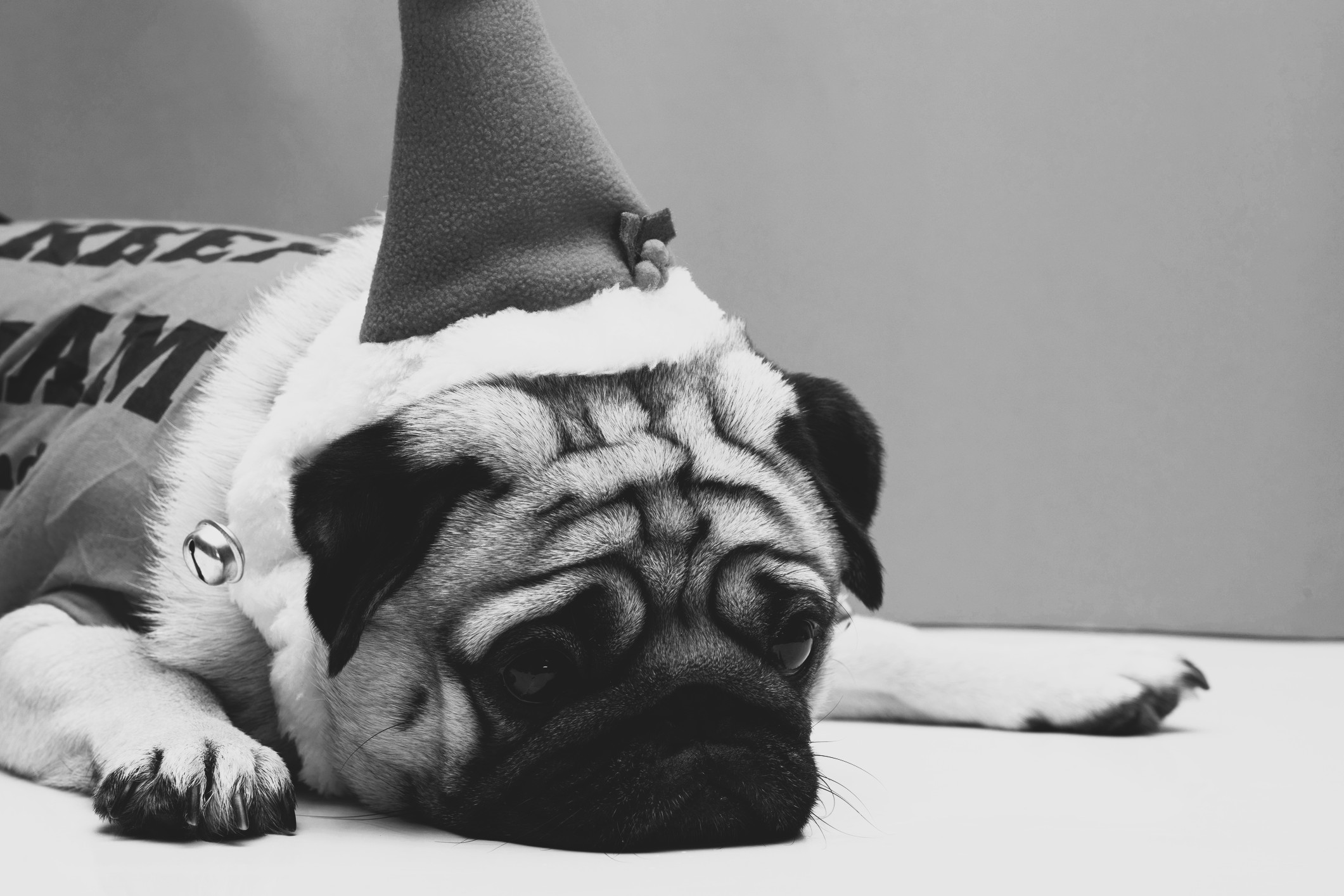 AMP is WAC — 12/19/25