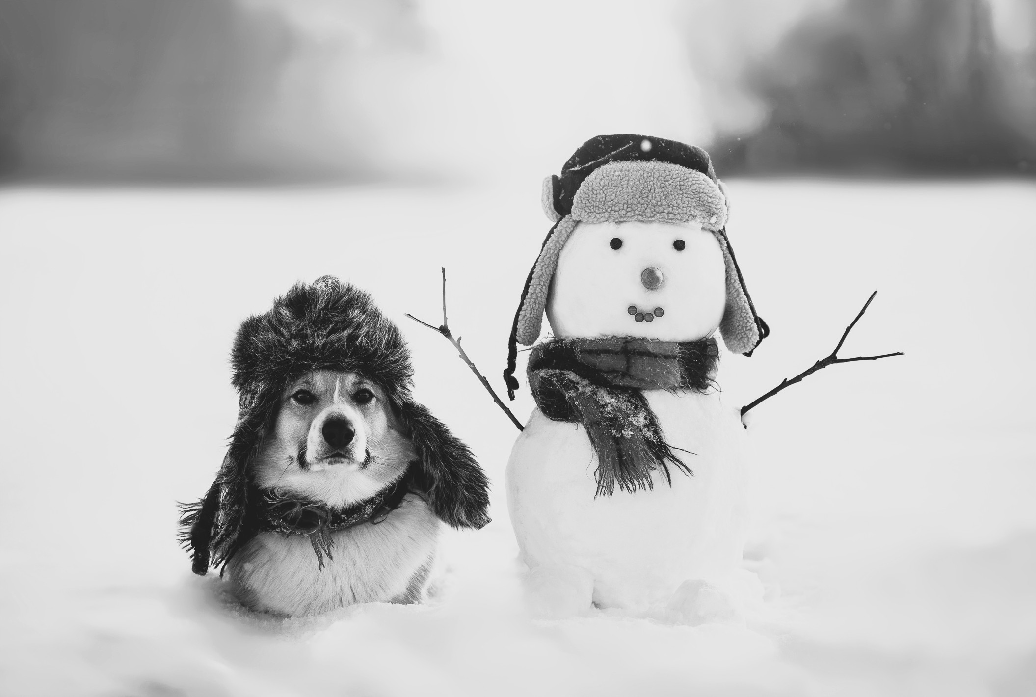 AMP is WAC — 12/12/25