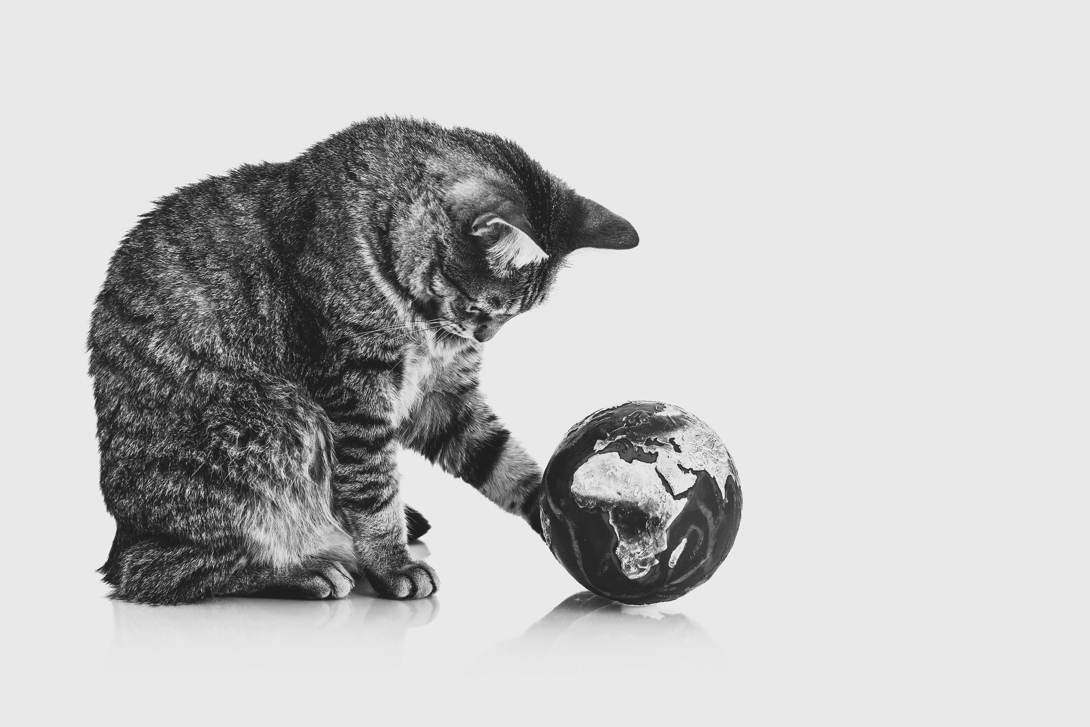 AMP is WAC — 1/16/26