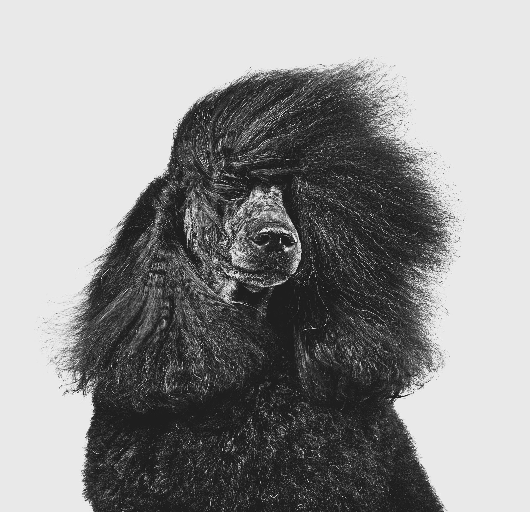 AMP is WAC — 1/9/26