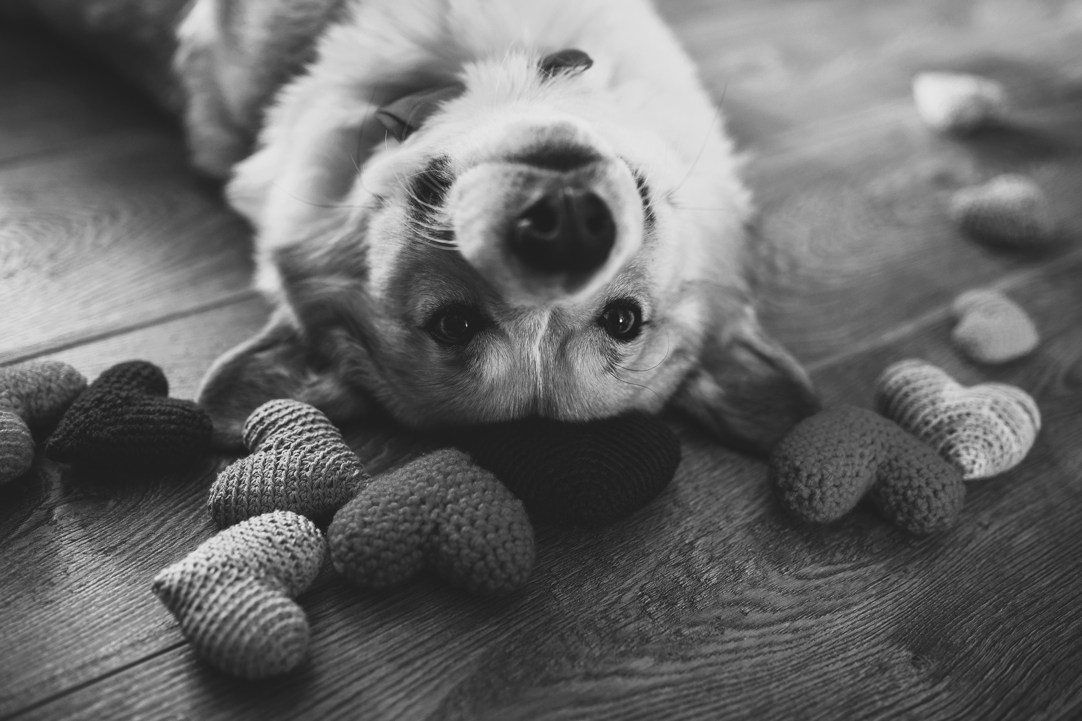 AMP is WAC — 2/13/26