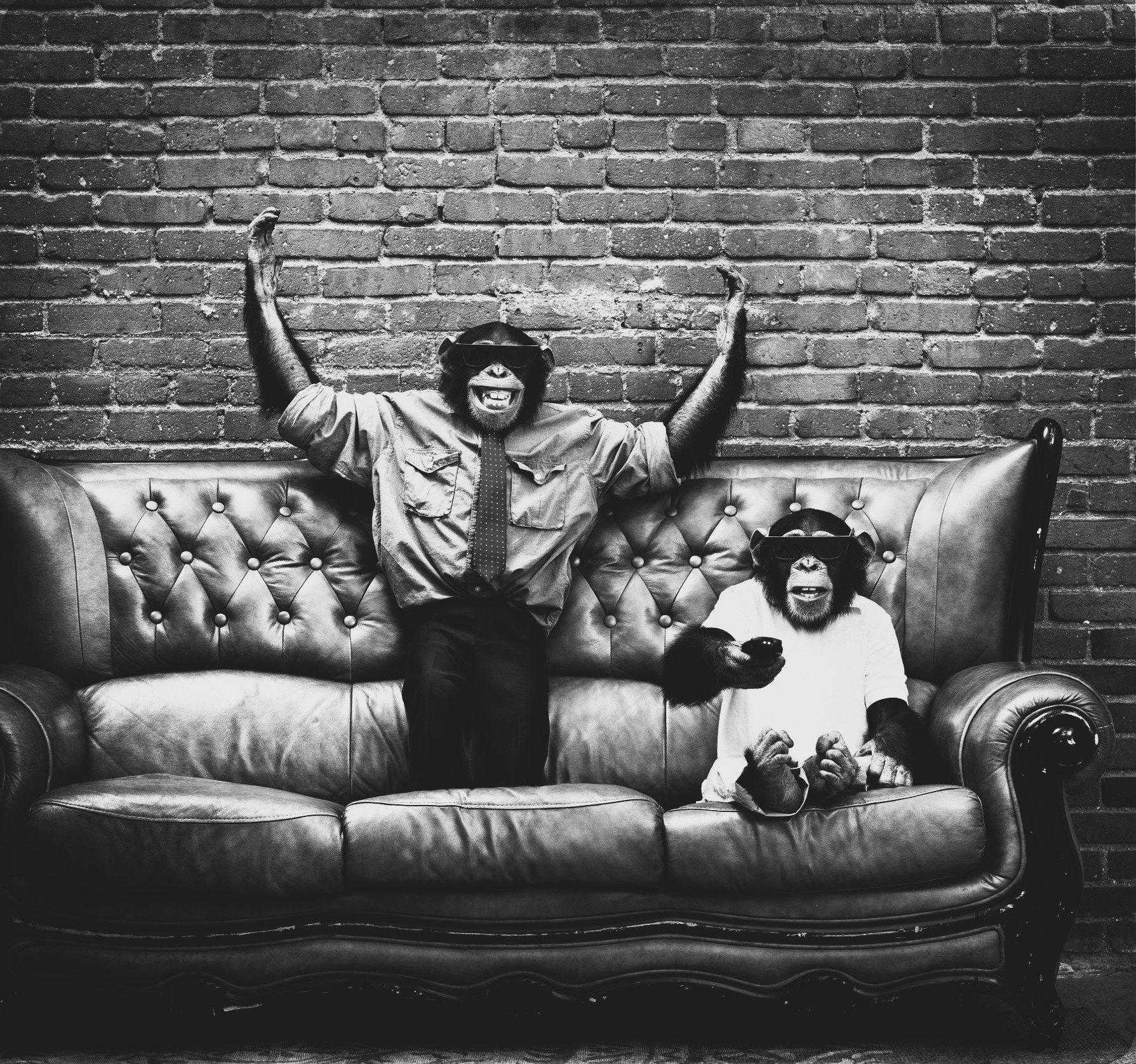 AMP is WAC — 03/20/26