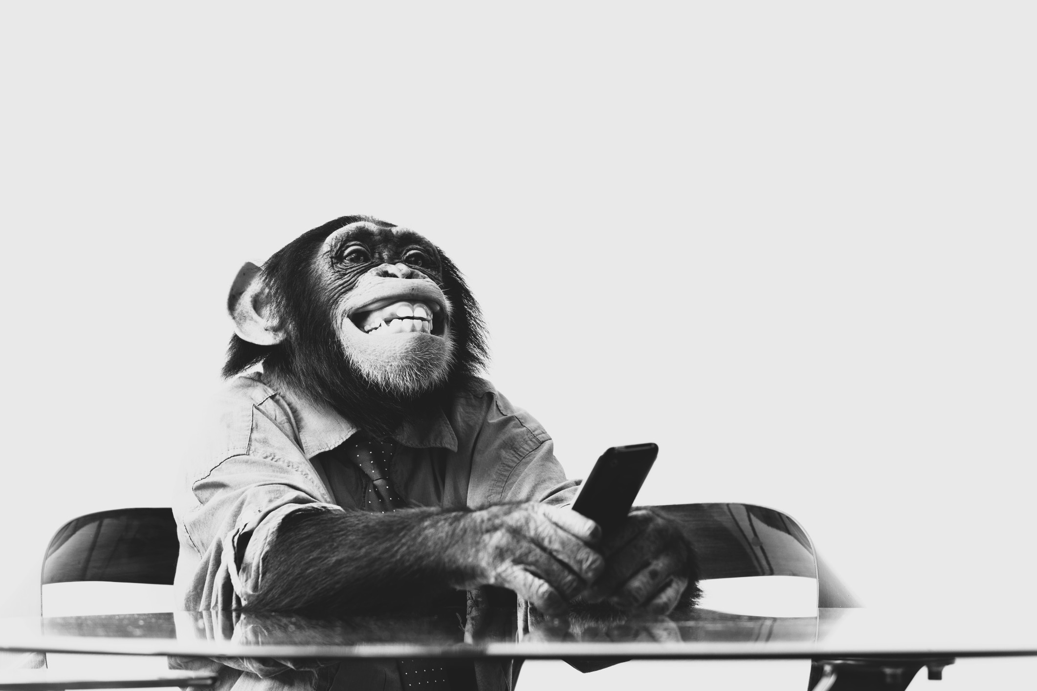 AMP is WAC — 3/6/26