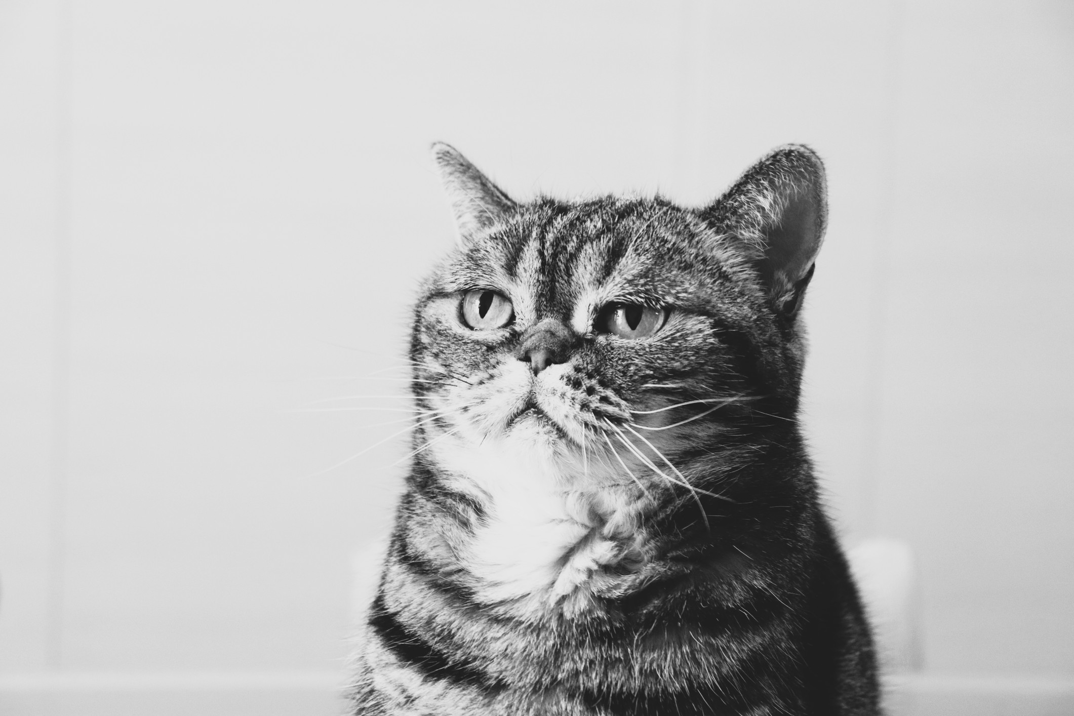 AMP is WAC — 04/24/26